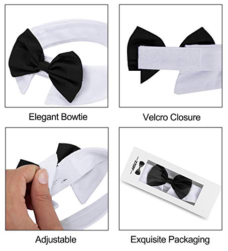 ZTON Handcrafted Adjustable Formal Pet Bowtie Collar Neck Tie for Dogs & Cats (L, Black) - Thumbnail 4