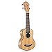 Donner Zebrawood Ukulele Soprano DUS-2 21 inch Ukulele Kit with Case Tuner Strap Nylon String