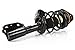 Prime Choice Auto Parts CST100002PR Front Strut Assembly Pair