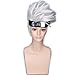 COPLY Men Silver White Short Anime Cosplay Wigs with Headwear Halloween wig Synthetic Wig 35cm 14