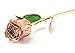 M Dream Valentine Gifts for Her, Long Stem Trimmed 24K Gold Dipped Real Rose Champagne 11 Inches Set of 1,Best Gift for Valentine's Day, Mother's Day, Anniversary, Birthday