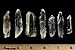 Fantasia Materials: 5 pcs of Brazilian Lemurian Seed Crystal Quartz - B Grade