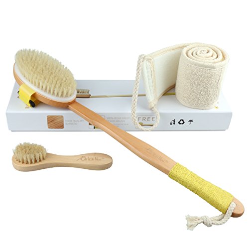 Dry Brushing Body Brush Set, Includes Loofah Back Scrubber, Natural