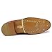 Parrazo Men's Perforated Lace Up Cap Toe Oxford Dress Shoes