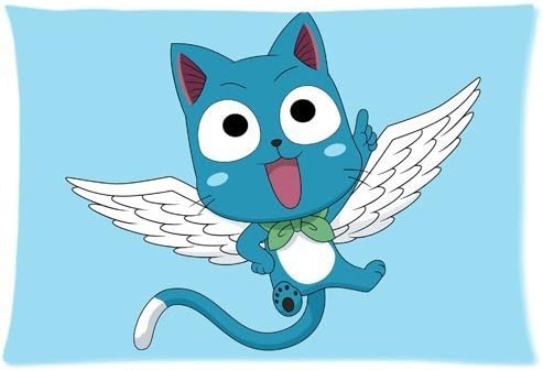 Anime Happy Fairy Tail Pillowcases Custom Pillow Case Cushion Cover 20 X 30 Inch Two Sides