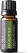 Eucalyptus 100% Pure Essential Oil Therapeutic Grade- 10 Ml (Eucalyptus, 10ml)