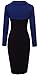 HOMEYEE® Women's Retro Chic Colorblock Lapel Career Tunic Dress B238 (M, Blue)