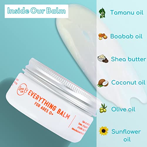 Lane & Co Everything Balm PlantBased Baby Care Balm for Diaper Rash