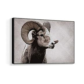 Framed for Living Room Bedroom Black and White Animal for