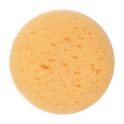 Sponge Cosmetic