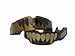 Battle Fangs Football Mouthguard – Sports Mouth Guard with Removable Strap – Protector Mouthpiece Fits with or Without Braces on Teeth – Adult & Youth Mouth Guard Sizes, 2 Pack