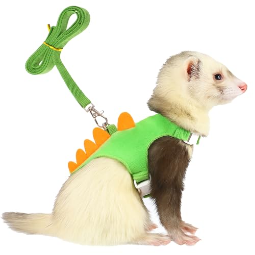 YBEATY Ferret Harness and Leash Set