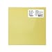 Gizmo Dorks PEI Sheet 12" x 12" (305mm x 305mm) 1mm Thick 3D Printer Build Surface Ultem 1000, Made in The USA