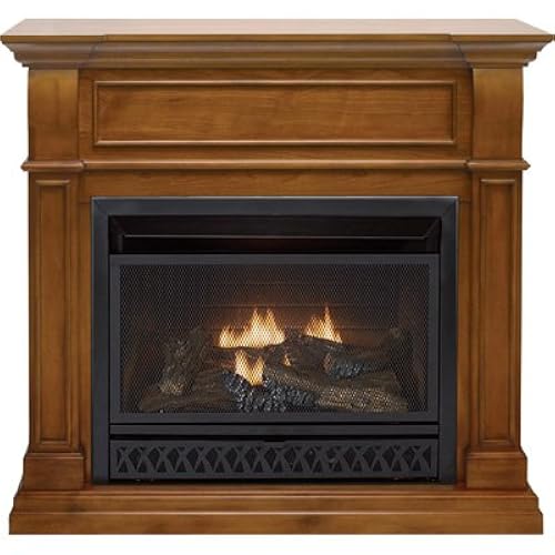 Propane Gas Fireplace Insert