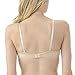 VASSARETTE Women's Lace and Lift Add-a-Size Push up Bra 75301, Honey Beige/Sweet Cream, 36A