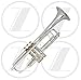 Zephyr 606S Deluxe Double-Braced Silver Trumpet w/Gold Trim Outfit