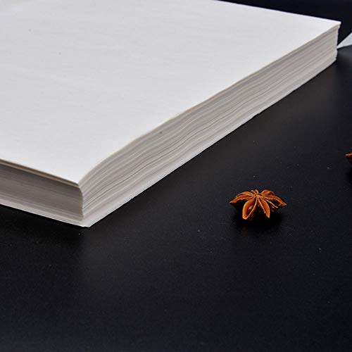 500 Count, Cookie Baking Sheets, Premium Parchment Paper Baking Sheets for Baking Cakes, Cooking, Cookies, Pastries, Non-Stick & Not Curl & Not Burn & Non-Toxic(White, 12" X 16")