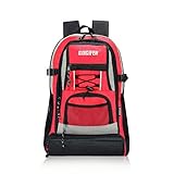 COCIFER Travel Backpack Lightweight Laptop Bags School Rucksack Red