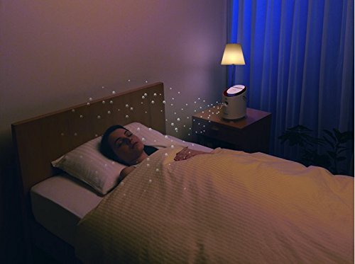 Panasonic Nanoe Nano Care EH-SA60-P Pink Ion 2 Way Steamer (Japan Import)