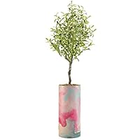 SIGNWIN Olive Tree with Vintage Pink, Blue and White Faded Paint Effect Vase Abstract Shapes Minimalism Zen Relax/Calm Multicolor Ultra for Living Room, Bedroom, Office - X-Large 5 Feet (60