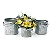 Skalny 82810 Round Silver Galvanized Tin Pot Planters 3pc Set, 6.25