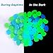 Sunnset Glow in The Dark Garden Pebbles,200 Pcs Glow Decorative Stones Rocks,Luminous Pebbles for Outdoor Decor, Garden Lawn Yard, Aquarium, Walkway, Fish Tank, Pathway, Driveway