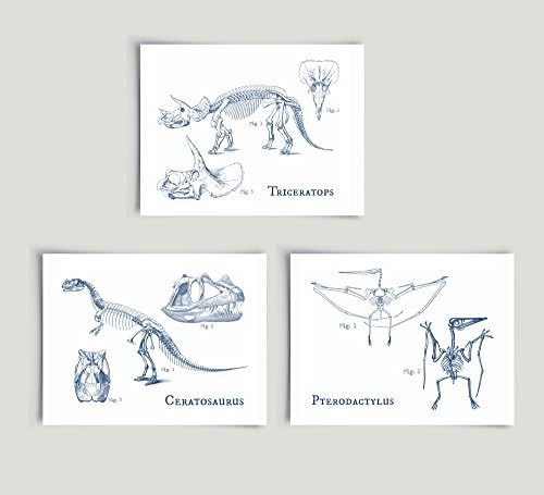 Prehistoric Fossil Dinosaur Skeleton Art Unframed Paper Print (set of 3)