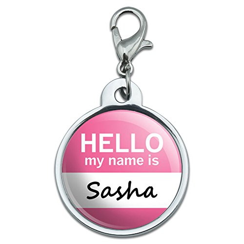 Chrome Plated Metal Small Pet ID Dog Cat Tag Hello My Name Is SA-SI - Sasha