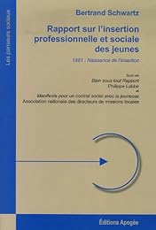 Rapport sur l'insertion professionnelle et sociale des jeunes