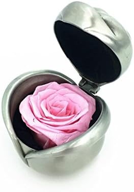 MFFD Handmade Preserved Flower Rose, Never Withered Roses, Upscale Immortal Flowers, Fresh Roses, Eernal Life Flowers for Love Ones, Gift for Valentine's Day, Anniversary, Birthday (Pink Rose)
