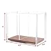 Acrylic Pen Holder, Large Capacity [2 Compartments with Wood Base] Pencil Cup Desk & Makeup Brush Organizer (4.9