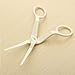 Grocery House Delicate Flower Lifter Scissor / Sugarcraft Fondant Cake Cream Transfer Tool