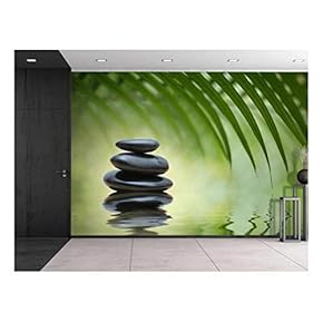 Rocks on a Serene Lake Under a Palm Tree - Wall Mural, Removable Sticker, Home Decor - 66x96 inches