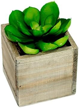 Faux Farmhouse Succulent in Wood Box Planter Container Artificial Echeveria in Green - Potted Plant