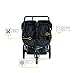 BOB Revolution Flex 3.0 Duallie Jogging Stroller, Graphite Black [Old Version]