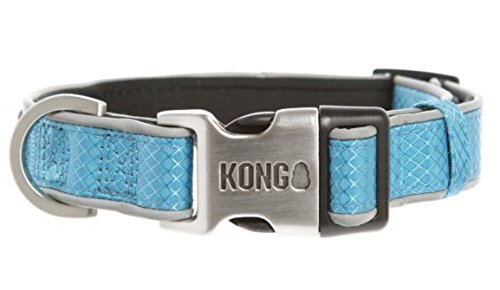kong dog collars