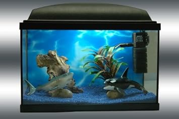 Schwertwal Und Weisser Hai Aquarium Komplettset Mit Viel Zubehor