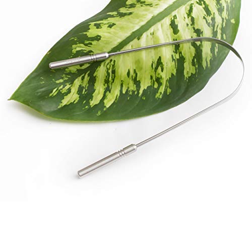 Tongue Scraper Cleaner - Medical Grade Stainless Steel Metal - Get Rid of Bacteria and Bad Breath - by Wowe LifeStyle Products