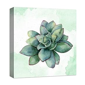 Simple Lush Green Succulent - Canvas Art