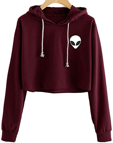 maroon crop top hoodie