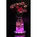 8inch Base Lights - Remote Multicolor RGB LED Stand Rechargeable Battery + AA Battery Operated 1.4inch Tall Round Silvery Plate for Wedding Party Events Home Floral Vases Glass Crystal Decor Lighting