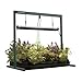 Jump Start 2' T5 Grow Light System (Stand, Fixture & Tube) - JSV2 primary