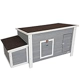 Alexandria Chicken Coop and Run