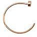 Forbidden Body Jewelry Nose Ring Hoop, Surgical Steel Comfort Fit Nose Ring Hoop/Rose Gold Tone 22G (10mm)