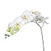 Tinksky Simulation Butterfly Orchid Artificial Flower Plant Home Decoration (White)