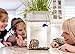 Water Garden, Self-Cleaning Fish Tank That Grows Food, Mini Aquaponic Ecosystem (Great Gardening Gift & Family Project)thumb 1