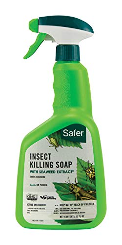 Safer Insect Killing Soap With Seaweed Extract Multiple Insects Spray 32 Oz