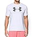 Under Armour Men's Sportstyle Logo T-Shirt, White (100)/Graphite, Large