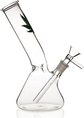 MAOYOHA 21cm Glass Filter 200g Green Bottle (3)