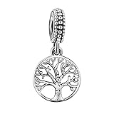 ANGEMIEL 925 Sterling Silver Charms 